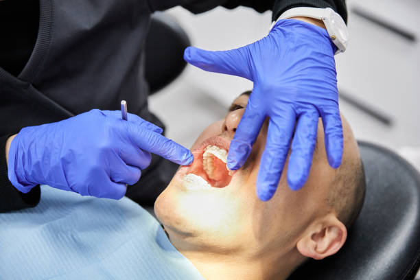 Best Emergency Dental Services for Seniors in Lyman, WY
